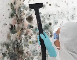 Why You Should Choose Our Mold Remediation Services in Ivyland, PA